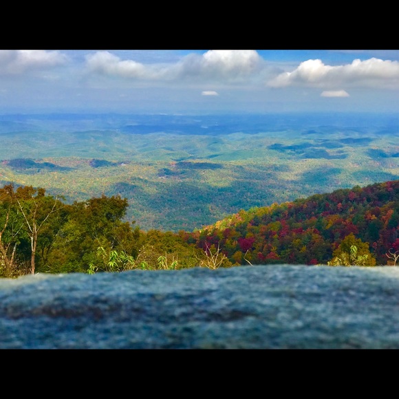 Meet your Posher, Angie - Picture 5 of 14